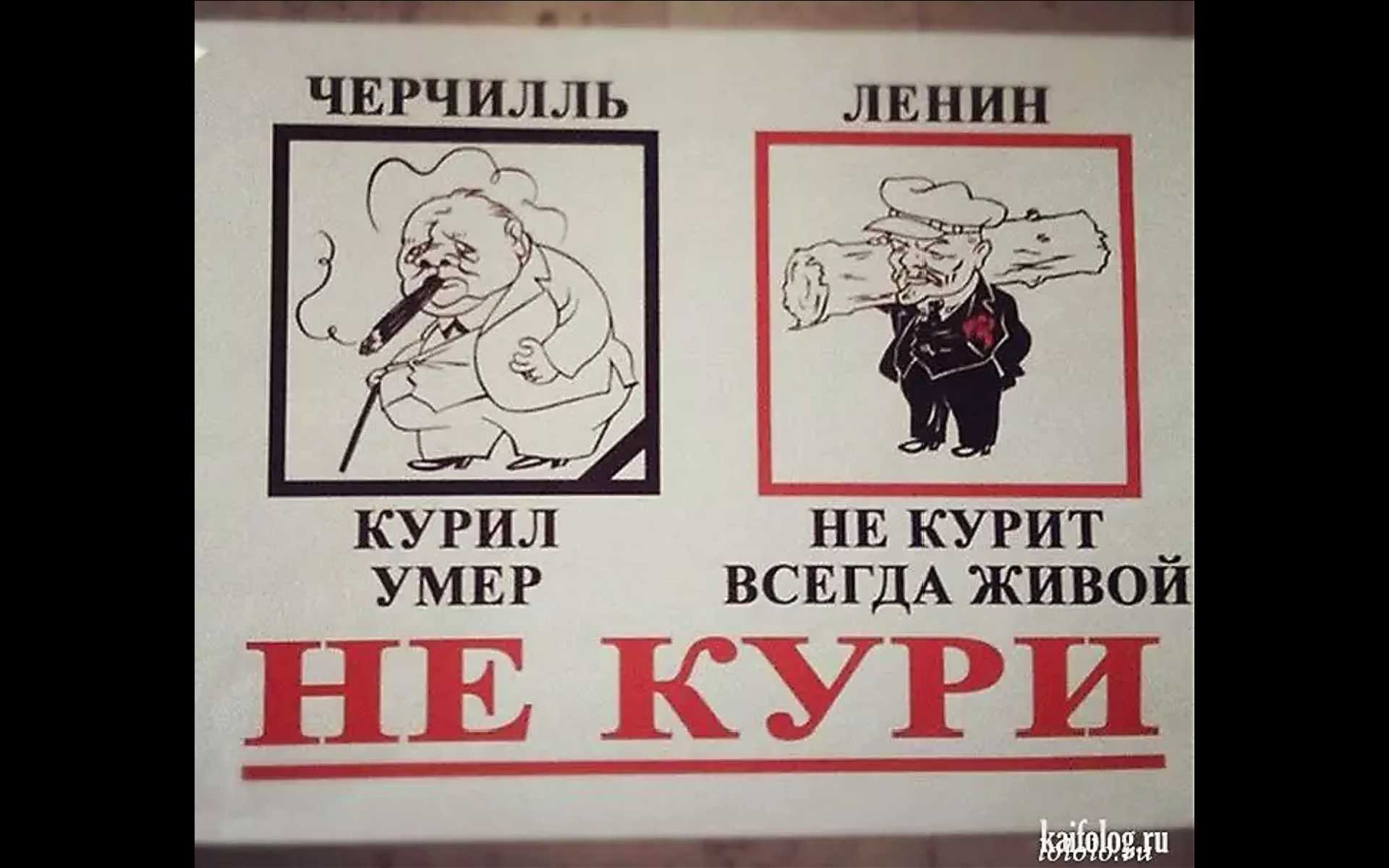 Анекдоты. Никогда не пил и не курил. Никогда не пил и не курил. Я бросил пить. Картинки коротко о себе пью курю сволочь.