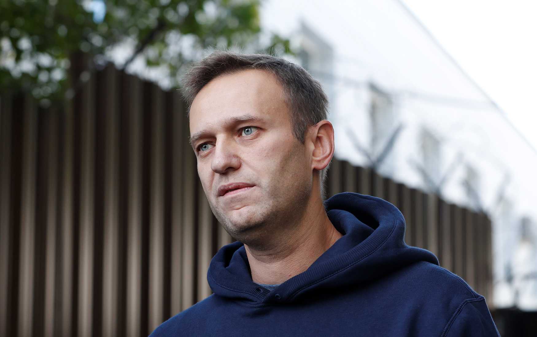 Почему Навальный встречает уголовное дело с хлебом и солью: мнение политолога
