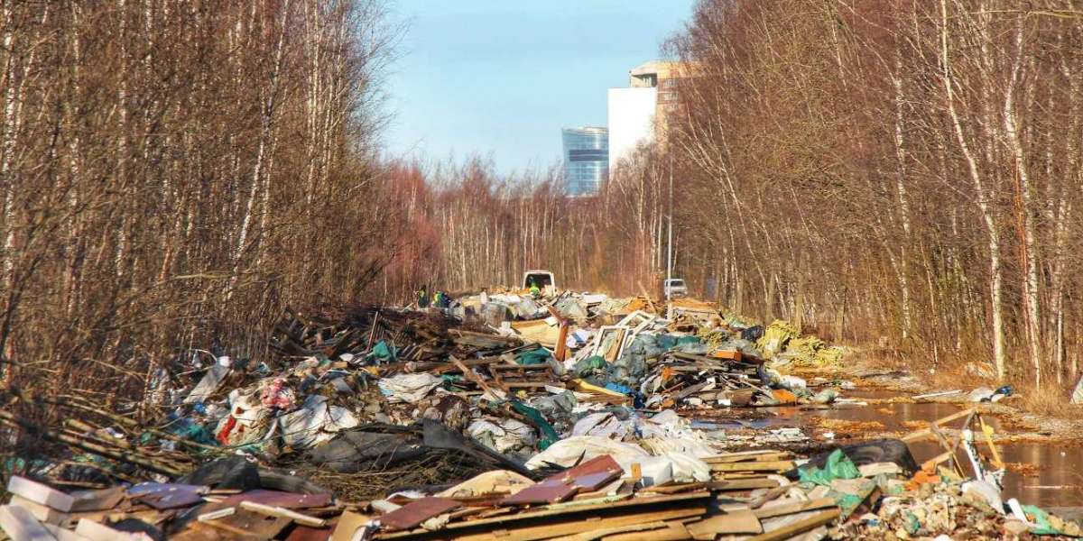 Жители Невского жалуются на растущие свалки и химозные лужи по всему району