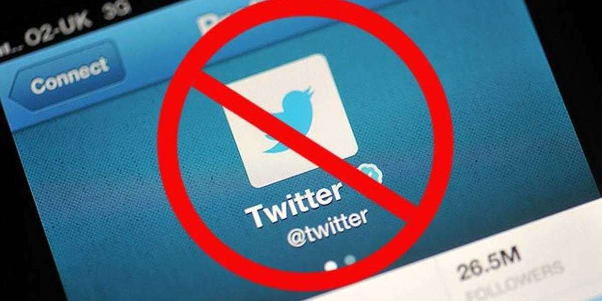 Мизулина: «Твиттер» не реагирует на требования РКН и будет дальше получать крупные штрафы