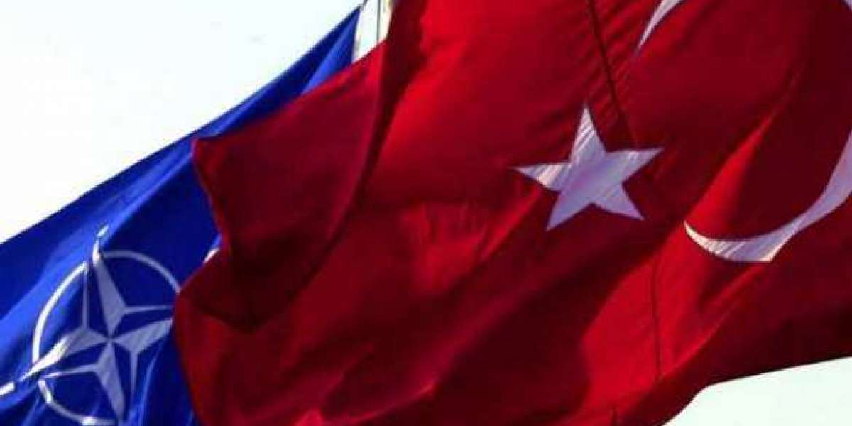 Турция с помощью России заставила НАТО признать свою значимость