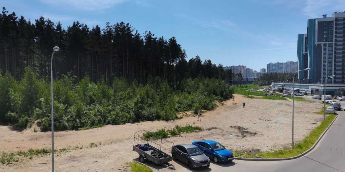 Петербуржцы пытаются отстоять Шуваловский парк