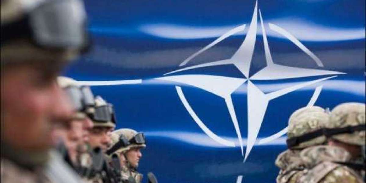 Солдаты НАТО попали в курьезный инцидент на границе с Россией