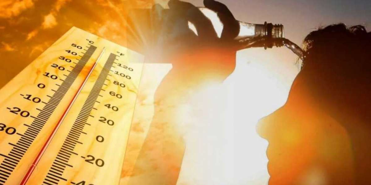 Климатолог рассказал, будет ли аномальная жара в Петербурге повторяться ежегодно