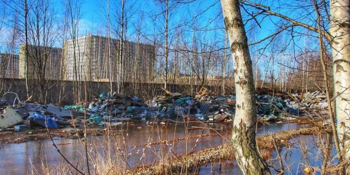 «Тропа здоровья» в Невском районе – это убогое позорище, а не зеленая зона