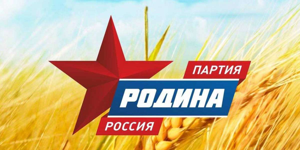 «Родина» готовится «подвинуть» другие партии на билбордах Петербурга