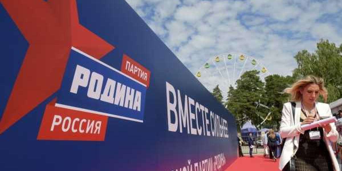 Боровой: кампания против Родины - это сокрытие реальных предвыборных интриг в Петербурге