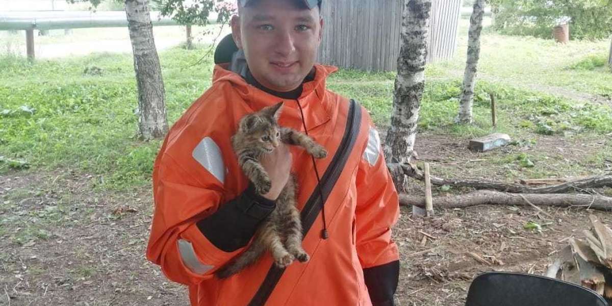 В Приамурье во время паводка спасли около десятка домашних животных