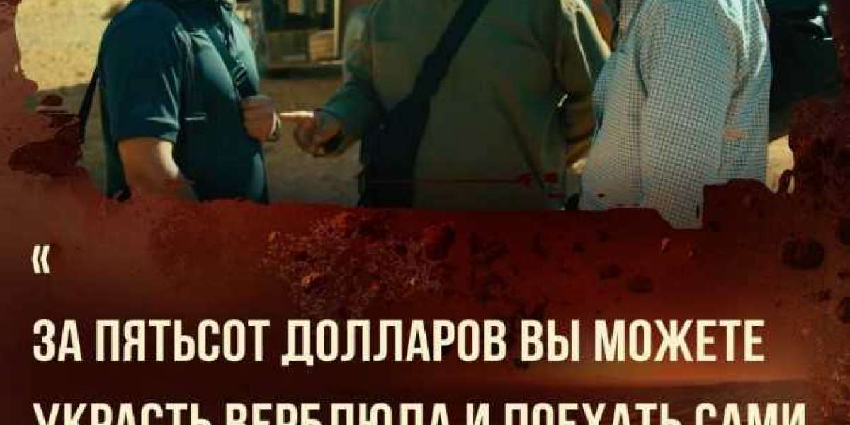 Петербуржцы могут узнать расписание киносеансов фильма «Шугалей-3»