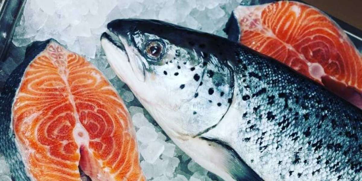 Эксперты перечислили самую полезную рыбу для здоровья человека