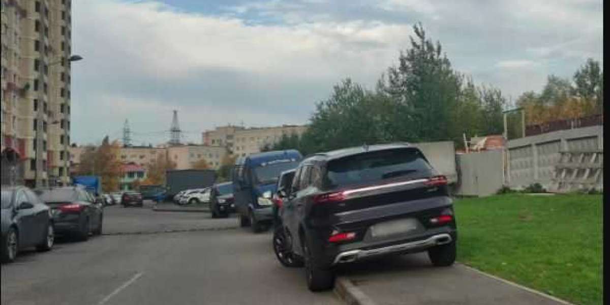 Как решить проблему парковок в Петербурге – мнение Шугалея