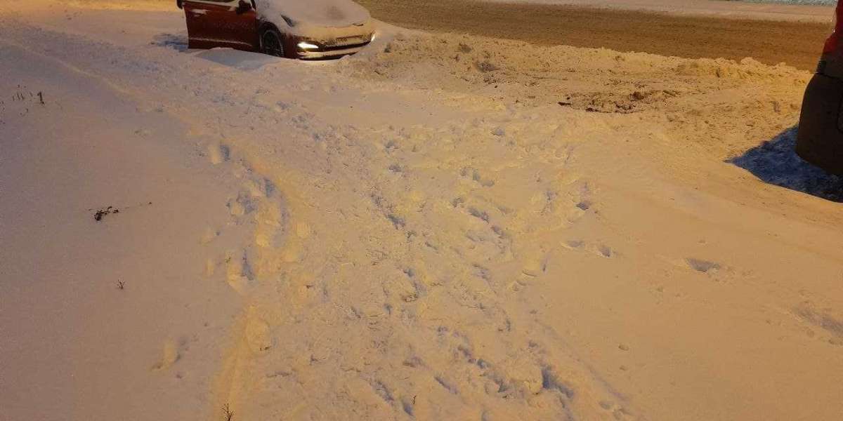 Эх, дороги: петербургские власти не выдержали снежного испытания