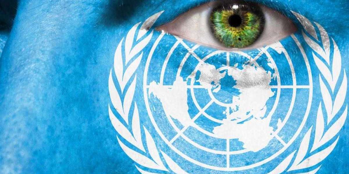 Малийский ужас ООН – что известно 