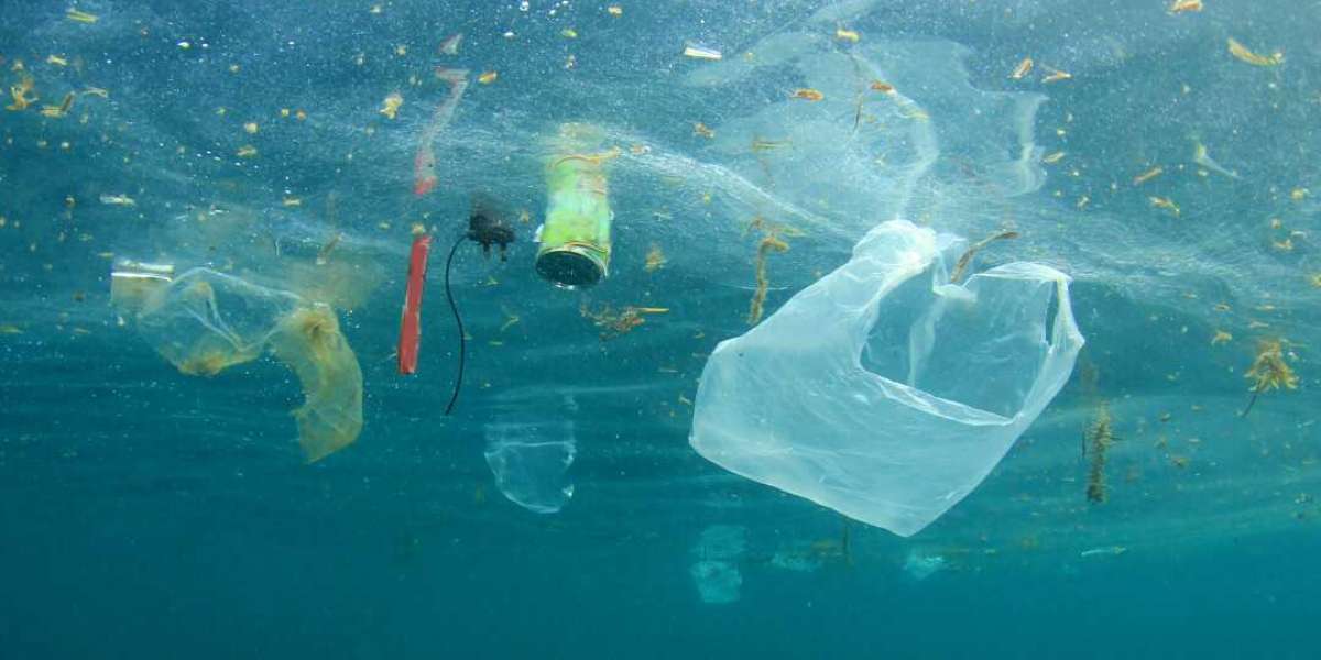 Около 75% людей на планете выступают за полный запрет одноразового пластика