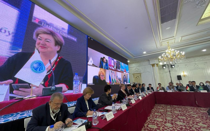 Делегация Ассамблеи народов Евразии приняла участие в Международной конференции «Векторы культурно-гуманитарного сотрудничества в рамк