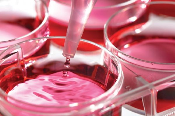 Cell Culture Media Market Opportunities, Revenue, Future Scope and Forecast 2027