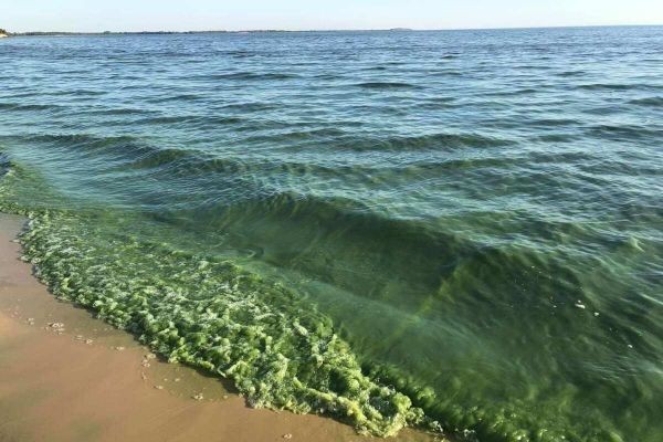 В результате подрыва Каховской ГЭС нарушена морская экология в районе Одессы
