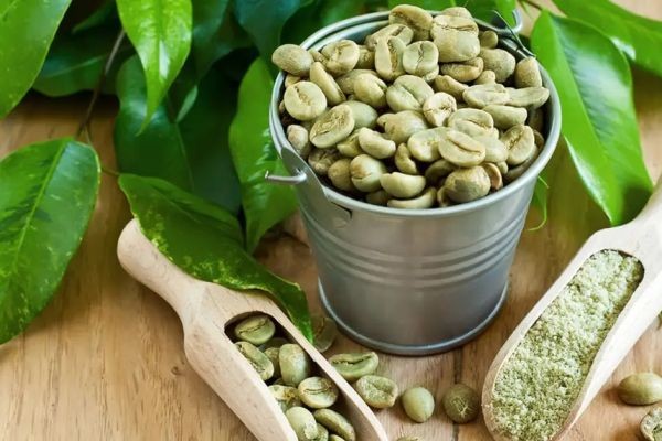 Green Coffee Bean Extract Market to Expand Significantly by 2033