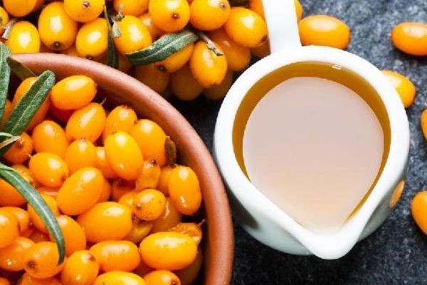 Sea Buckthorn Market Analysis Based on Manufacturers, Regions, Application and Types by 2034