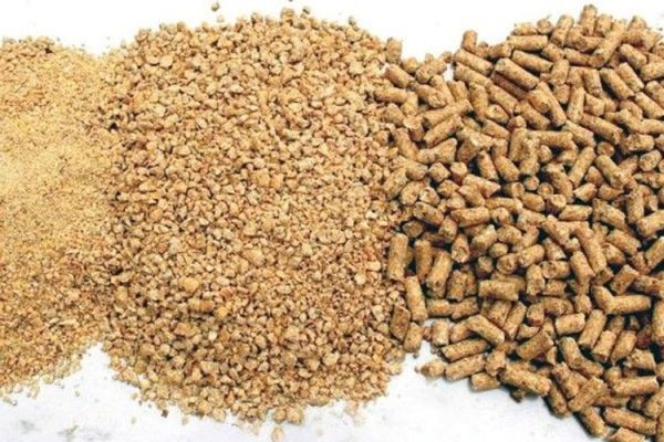 Fermented Feed Market Strategies and Forecasts, 2034