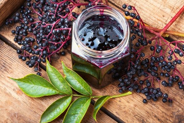 Elderberry Supplements Market Insights | Industry Outlook, Size, Growth Factors and Forecast To 2033