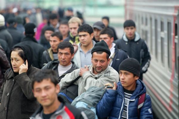 «Крокус» ничему не научил: МВД лоббирует низкую преступность мигрантов
