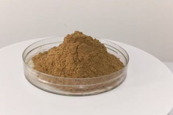 Fish Meal Alternative Market to Get an Explosive Growth