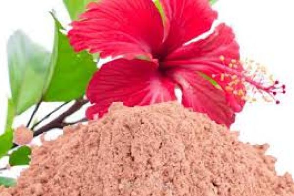 Hibiscus Flower Powder Market to Expand At An Amazing Rate by 2034