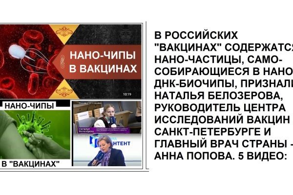 В РОССИЙСКИХ "ВАКЦИНАХ" СОДЕРЖАТСЯ НАНО-ЧАСТИЦЫ, САМО-СОБИРАЮЩИЕСЯ В НАНО-ДНК-БИОЧИПЫ, ПРИЗНАЛИ НАТАЛЬЯ БЕЛОЗЕРОВА, РУКОВОДИТЕЛЬ ЦЕНТРА ИССЛЕДОВАНИЙ В..