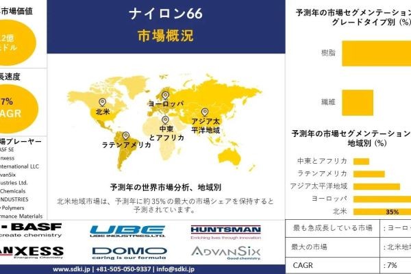 ナイロン66産業、シェア、サイズ調査動向、洞察、トップメーカー、需要分析概要 - 2024-2036年予測