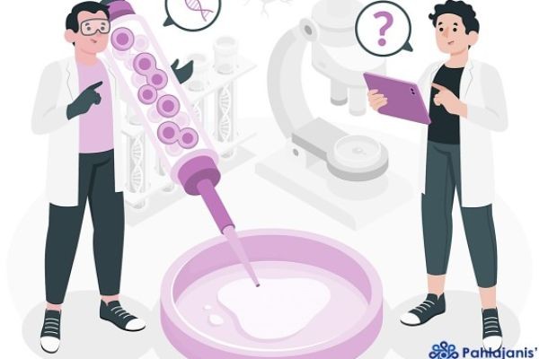 Preimplantation Genetic Testing (PGT): Should You Consider It?