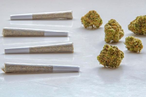Why Sativa Pre-Rolls Are the Ideal Solution for Energy and Creativity