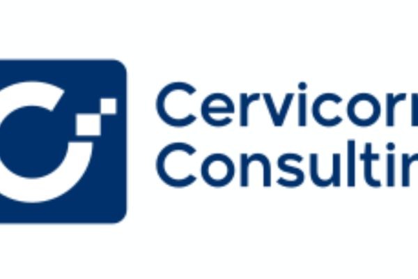 Healthcare Revenue Cycle Management Market Size, Share, Trends 2025-2034