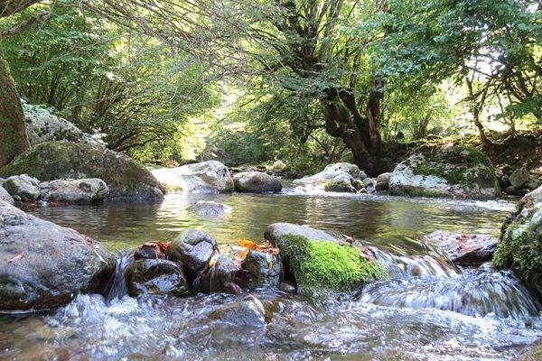 Осенняя нежность у воды
