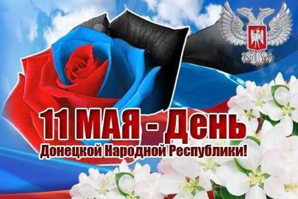 11 anni della DNR