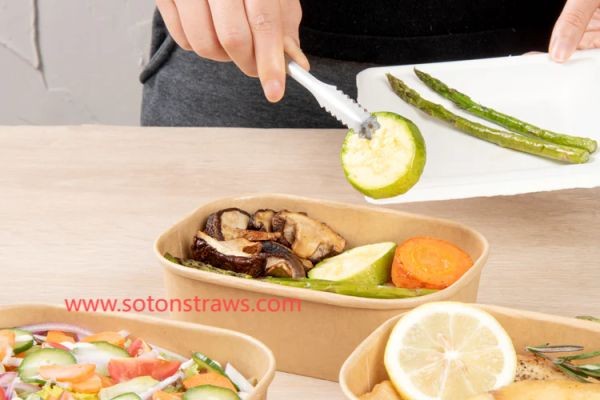 Soton's Artisan Alchemy: Disposable Kraft Box Reimagined