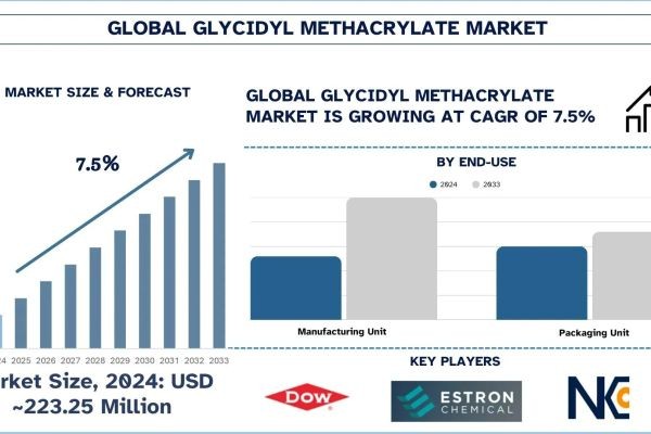 Glycidyl Methacrylate Market Analysis by Size, Share, Trends and Forecast (2025–2033) | UnivDatos