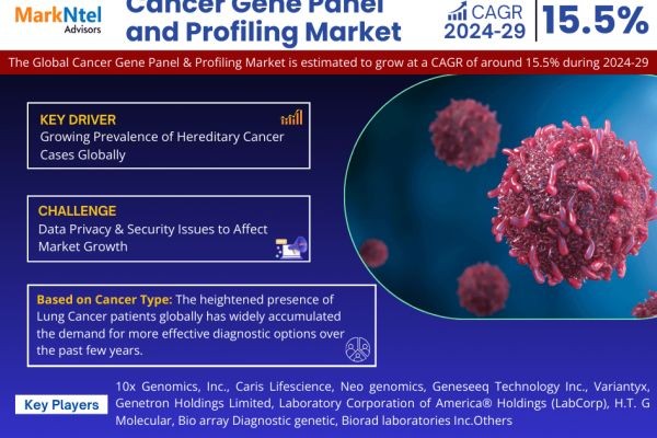 Cancer Gene Panel and Profiling Market Size, Competitive Landscape and Outlook 2029