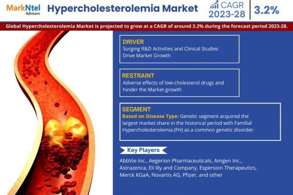 Explore the Electrophysiology Market | Growth, Demand & Competitive Analysis