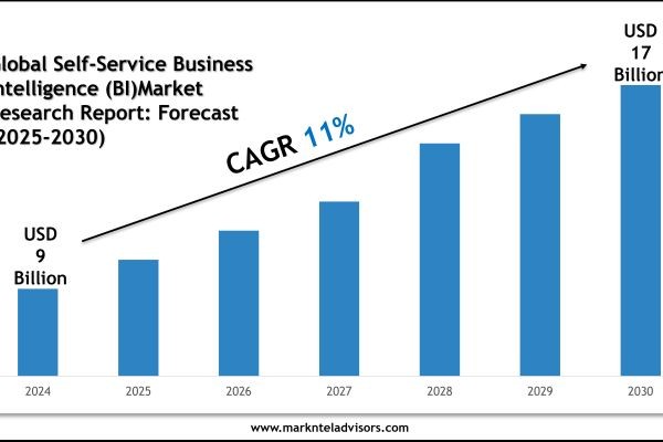 How Big Is the Global Self-Service Business Intelligence (BI) Market? Growth Insights 2025–2030 Report