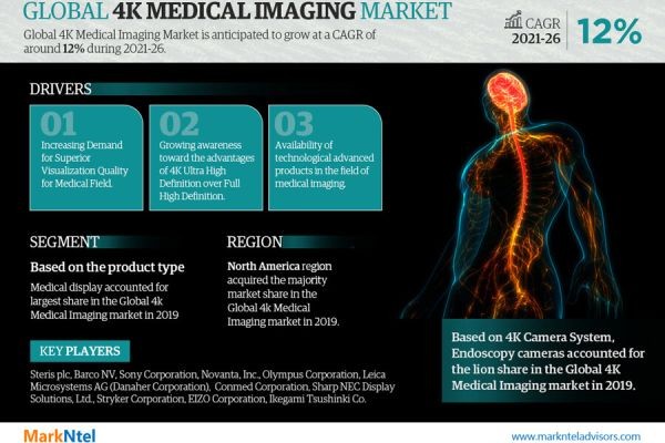 4K Medical Imaging Market Size, Share & Future Trends – Research Report