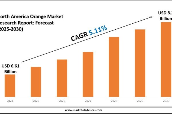 North America Orange Industry Size Expected at USD 8.2 Billion by 2030