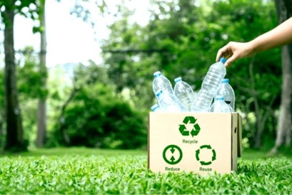 A Guide to Plastic Recycling Codes and Labels