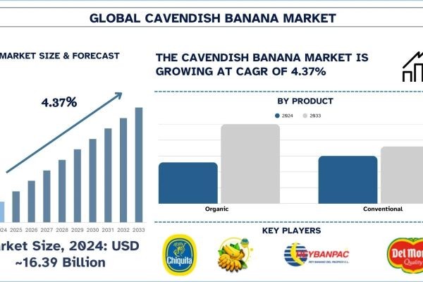 Cavendish Banana Market Analysis by Size, Growth, & Research Report (2025–2033) | UnivDatos