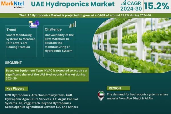 Leading UAE Hydroponics Market Companies: Trends, Key Players & Outlook 2024