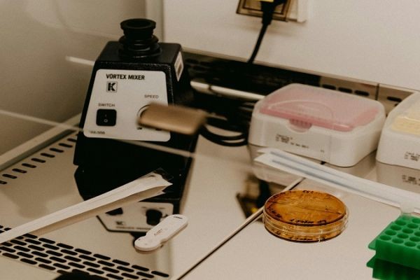 Profacgen Introduces Enhanced ChIP Assay Service with Integrated ChIP-seq and Functional Analysis