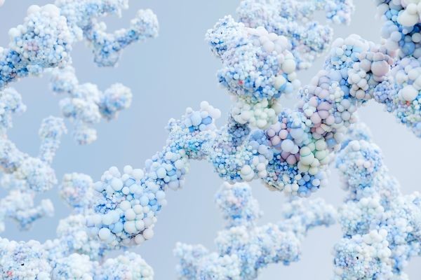 TNF Superfamily Proteins: Multifunctional Regulators in Immunity, Apoptosis, and Disease Pathogenesis