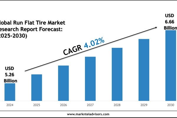 Run Flat Tire Market Size, Share and Competitive Insight Report 2030