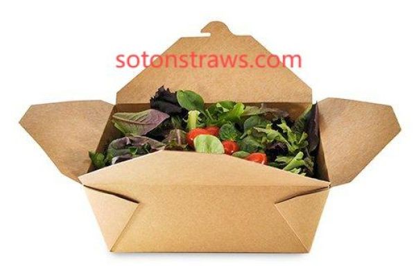 Next-Generation Protection from Soton’s Disposable Kraft Box