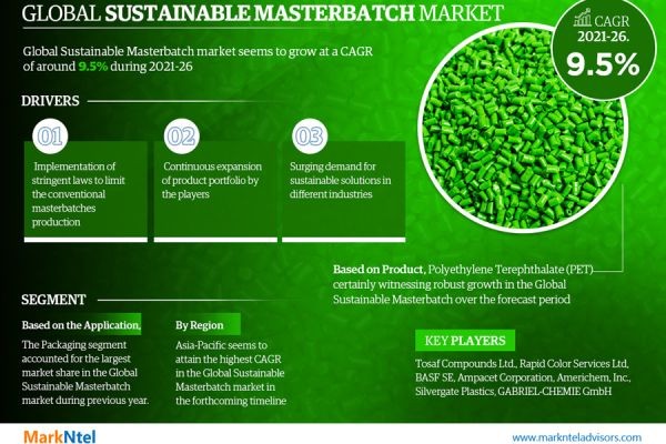 Explore the Sustainable Masterbatch Market | Growth, Demand & Competitive Analysis